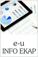 e-u INFO EKAP: elektronički udžbenik informatike za ekonomiste, komercijaliste, administratore i prodavače